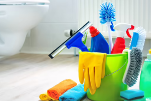 Messie Reinigung Bottrop