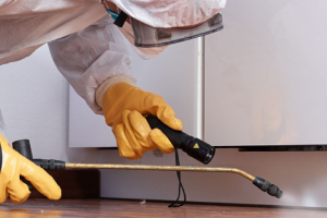 Messie Schädlingsbekämpfung Bottrop